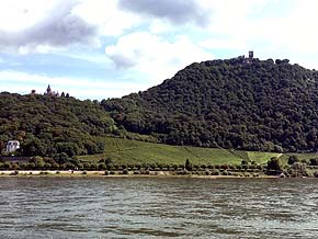 Rhein