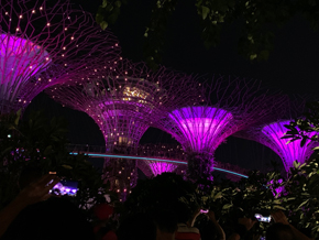 Singapur